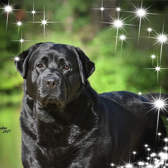 Meet your Posher, Jen - Picture 1 of 1